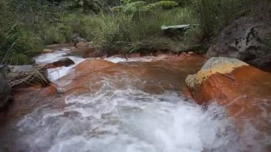 Dağlardan akan temiz nehir suyu ve turuncu kayalarla kaplı yeşil ağaçlar.