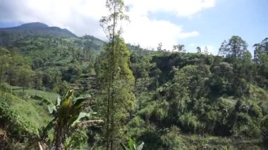Güzel doğal manzara dağları tepe doğa manzarası, yüksek yeşil ağaçlar ve yeşil yamaçlar ile bulutlu mavi gökyüzünün altında gündüz vakti
