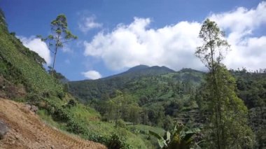 beautiful natural landscape mountains hilly nature panorama, with forest of tall green trees and green slopes under cloudy blue sky in daytime