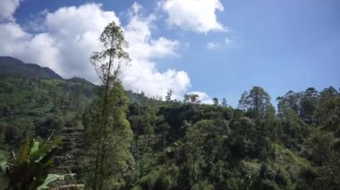 Güzel doğal manzara dağları tepe doğa manzarası, yüksek yeşil ağaçlar ve yeşil yamaçlar ile bulutlu mavi gökyüzünün altında gündüz vakti