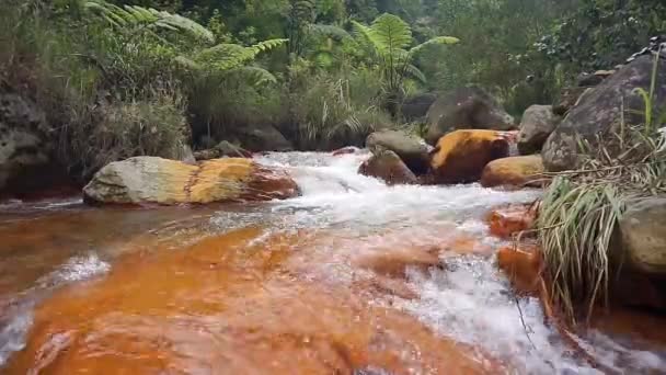 山の中を流れる澄んだ川の水とオレンジの岩が生い茂る緑の木 — ストック動画