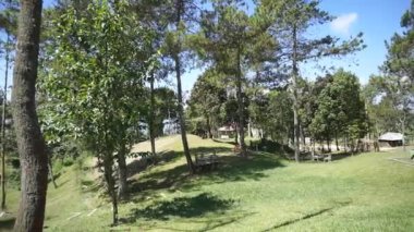 Güzel doğal manzara dağları tepe doğa manzarası, yüksek yeşil ağaçlar ve açık mavi gökyüzü altında yeşil yamaçlar gün boyunca orman