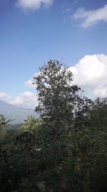 beautiful mountain natural scenery hilly nature panorama, with forest of tall green trees and green slopes under cloudy blue sky in daytime