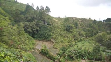 Güzel doğal manzara dağları tepe doğa manzarası, yüksek yeşil ağaçlar ve yeşil yamaçlar ile bulutlu mavi gökyüzünün altında gündüz vakti