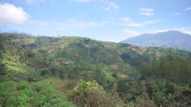 güzel dağ doğal manzarası tepelerin doğal manzarası, yüksek yeşil ağaçların ormanı ve açık mavi gökyüzünün altında yeşil yamaçlar