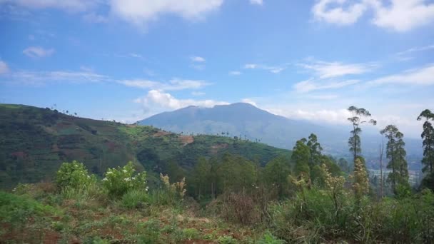 Hermoso Paisaje Natural Montaña Panorama Natural Colinas Con Bosque Árboles — Vídeos de Stock