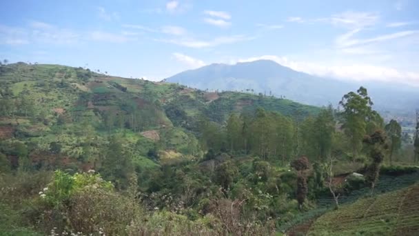 Krásný Horský Přírodní Scenérie Přírodní Panorama Kopců Lesem Vysokých Zelených — Stock video