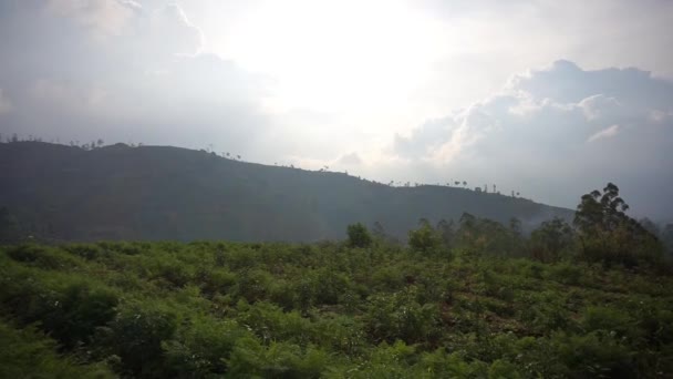 美しい山の自然景観高い緑の木々と青い空の下の緑の斜面の森と丘の自然のパノラマ日中 — ストック動画