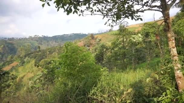 Prachtig Berglandschap Natuurlijk Panorama Van Heuvels Met Bos Van Hoge — Stockvideo