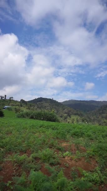 Güzel Dağ Doğal Manzarası Tepelerin Doğal Manzarası Yüksek Yeşil Ağaçların — Stok video