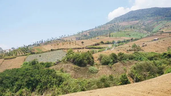 Dağların güzel doğal manzarası, tepelerin doğal manzarası, yüksek yeşil ağaçların ormanları ve gün boyunca açık mavi gökyüzünün altında yeşil yamaçlar.