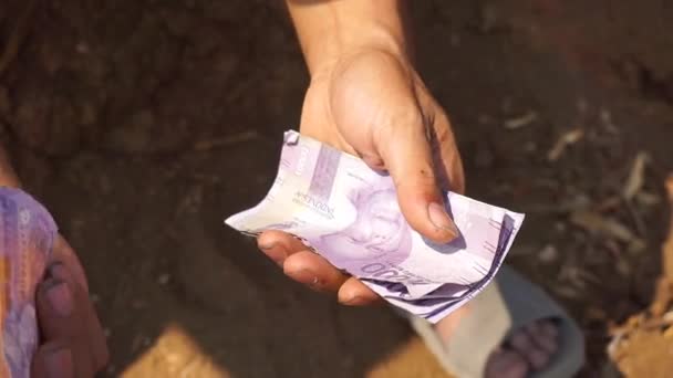 Man Hands Counting Ten Rupiah Notes Open Space Plantation — Stock Video