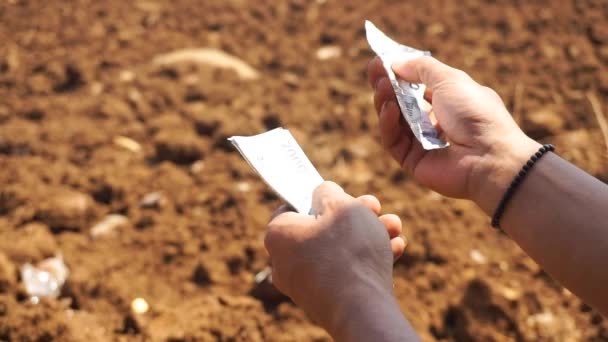 Bir Adamın Elleri Çiftlikteki Açık Bir Alanda 2000 Rupia Sayıyor — Stok video