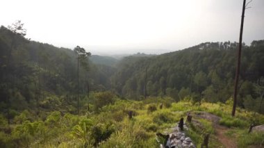 Güzel dikey görüntü portresi doğal manzara dağları doğal panorama tepeleri ve yüksek yeşil ağaçlardan oluşan orman ve bulutlu mavi gökyüzünün altında yeşil tarlalar.