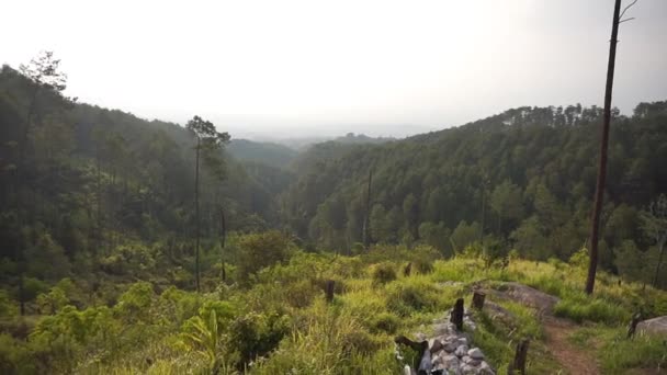 Bellissimo Video Verticale Ritratto Scenario Naturale Montagne Colline Panoramiche Naturali — Video Stock