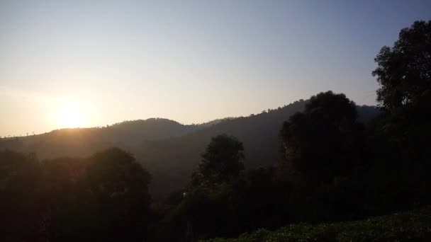 丘の景色 緑の木の高い山々は 太陽が昇る朝の澄んだ空で非常に美しい — ストック動画