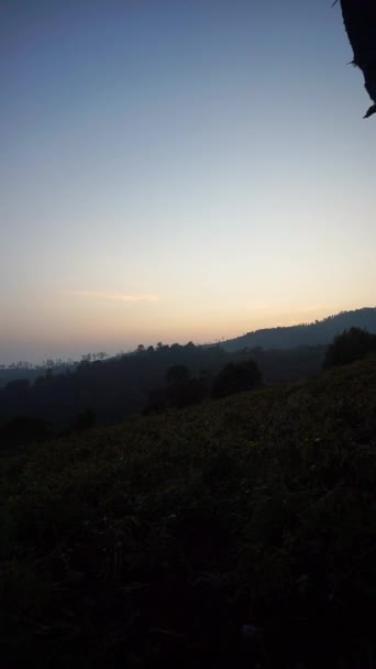 비디오 나무와 언덕의 전망은 일출에 아침에 — 비디오