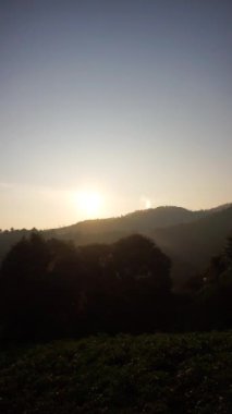 Güzel dikey video Tepelerin manzarası, yüksek yeşil ağaçlı dağlar çok güzel sabah güneşinin doğuşuyla berrak bir gökyüzü