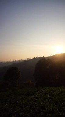 Güzel dikey video Tepelerin manzarası, yüksek yeşil ağaçlı dağlar çok güzel sabah güneşinin doğuşuyla berrak bir gökyüzü