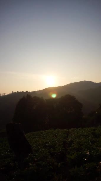Mooie Verticale Video Het Uitzicht Heuvels Bergen Met Hoge Groene — Stockvideo