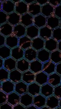 3D soyut parlak çizgiler, dalga, renkli, siyah arkaplan