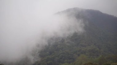 güzel dağların doğal manzarası, tepelerin doğal manzarası, ve yüksek yeşil ağaçların ormanları ve gün boyunca bulutlu mavi gökyüzünün altında yeşil bitkilerin yamaçları.