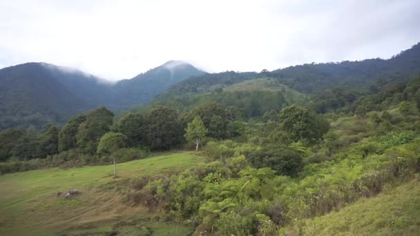 Güzel Dağların Doğal Manzarası Tepelerin Doğal Manzarası Yüksek Yeşil Ağaçların — Stok video