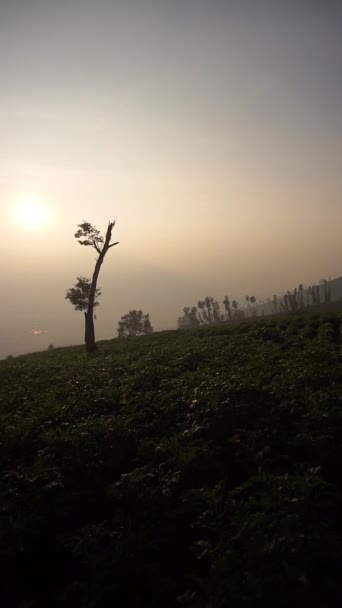 Красивые Природные Виды Ясным Небом Утром Восходе Солнца — стоковое видео