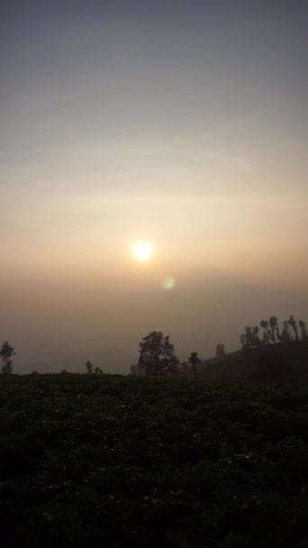 Çok Güzel Doğal Manzaralar Açık Gökyüzü Sabah Gündoğumunda — Stok video