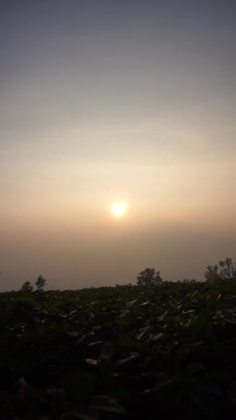 Πολύ Όμορφη Φυσική Θέα Καθαρό Ουρανό Πρωί Κατά Την Ανατολή — Αρχείο Βίντεο