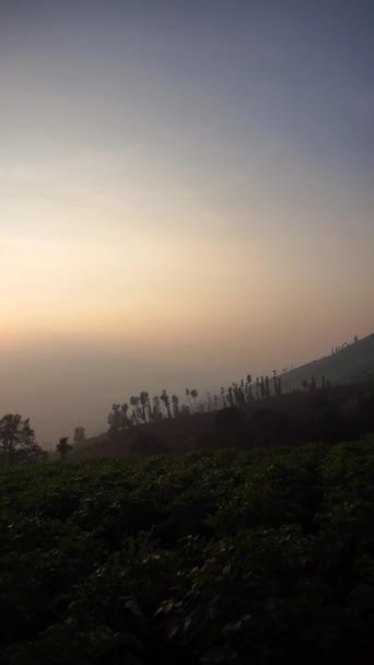 Zeer Mooie Natuurlijke Uitzichten Met Heldere Lucht Ochtend Bij Zonsopgang — Stockvideo