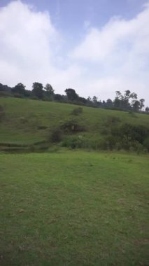 Doğal manzara dağları, doğal panorama tepeleri, ve uzun yeşil ağaçlardan oluşan ormanlar ve bulutlu mavi gökyüzünün altında yeşil tarlalar.