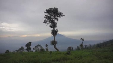 very beautiful natural views with clear skies in the morning with views of Mount Cikuray