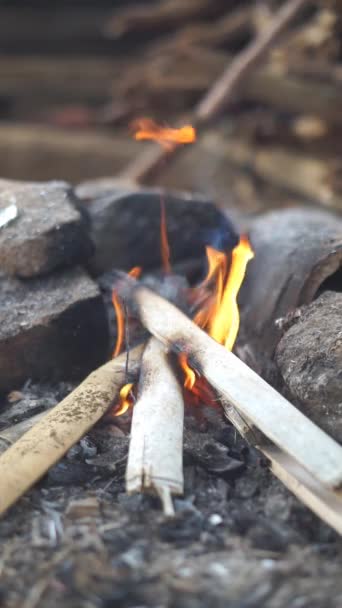 Spalanie Drewna Opałowego Kamiennym Piecu Chacie — Wideo stockowe