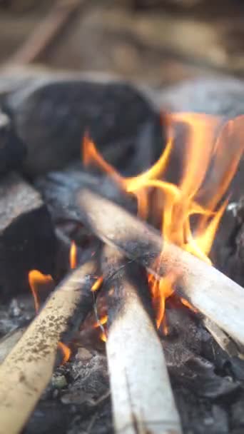 Brinnande Ved Stenugnen Stugan — Stockvideo