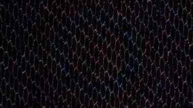 3D parlak çizgiler, dalga hareketini ayarlayın, renk dolu, siyah arkaplan üzerinde