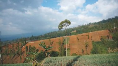 kırsal manzara dağları doğal panorama tepeleri, ve uzun yeşil ağaçlardan oluşan orman ve bulutlu mavi gökyüzünün altında yeşil tarlalar.