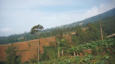 Güzel dikey video portresi dağların doğal manzarası, tepelerin doğal manzarası, ve yüksek yeşil ağaçların ormanları ve parlak mavi gökyüzünün altında yeşil bitkilerin yamaçları.