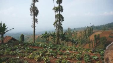 Dağların doğal manzarası, tepelerin doğal manzarası, ve yüksek yeşil ağaçların ormanları ve öğleden sonra bulutlu mavi gökyüzünün altında yeşil bitkilerin yamaçları.