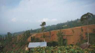 Dağların doğal manzarası, tepelerin doğal manzarası, ve yüksek yeşil ağaçların ormanları ve öğleden sonra bulutlu mavi gökyüzünün altında yeşil bitkilerin yamaçları.