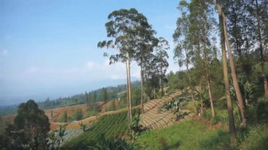 Doğal manzara dağları, doğal panorama tepeleri, ve uzun yeşil ağaçlardan oluşan ormanlar ve bulutlu mavi gökyüzünün altında yeşil tarlalar.