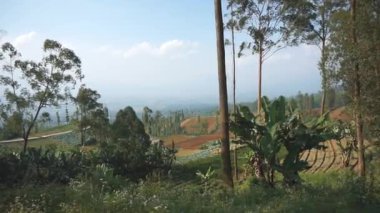 Doğal manzara dağları, doğal panorama tepeleri, ve uzun yeşil ağaçlardan oluşan ormanlar ve bulutlu mavi gökyüzünün altında yeşil tarlalar.