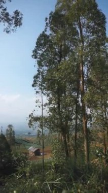 Doğal manzara dağları, doğal panorama tepeleri, ve uzun yeşil ağaçlardan oluşan ormanlar ve bulutlu mavi gökyüzünün altında yeşil tarlalar.