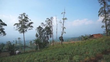 Doğal manzara dağları, doğal panorama tepeleri, ve uzun yeşil ağaçlardan oluşan ormanlar ve bulutlu mavi gökyüzünün altında yeşil tarlalar.