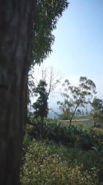 Doğal manzara dağları, doğal panorama tepeleri, ve uzun yeşil ağaçlardan oluşan ormanlar ve bulutlu mavi gökyüzünün altında yeşil tarlalar.