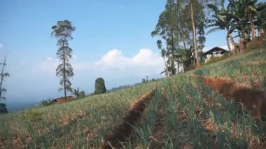 Doğal manzara dağları, doğal panorama tepeleri, ve uzun yeşil ağaçlardan oluşan ormanlar ve bulutlu mavi gökyüzünün altında yeşil tarlalar.