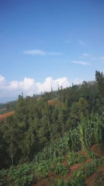 Doğal manzara dağları, doğal panorama tepeleri, ve uzun yeşil ağaçlardan oluşan ormanlar ve bulutlu mavi gökyüzünün altında yeşil tarlalar.