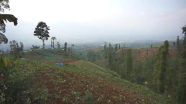 Doğal manzara dağları, doğal panorama tepeleri, ve uzun yeşil ağaçlardan oluşan ormanlar ve bulutlu mavi gökyüzünün altında yeşil tarlalar.