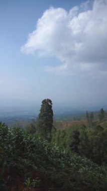 Doğal manzara dağları, doğal panorama tepeleri, ve uzun yeşil ağaçlardan oluşan ormanlar ve bulutlu mavi gökyüzünün altında yeşil tarlalar.