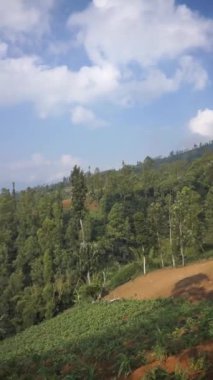 Doğal manzara dağları, doğal panorama tepeleri, ve uzun yeşil ağaçlardan oluşan ormanlar ve bulutlu mavi gökyüzünün altında yeşil tarlalar.